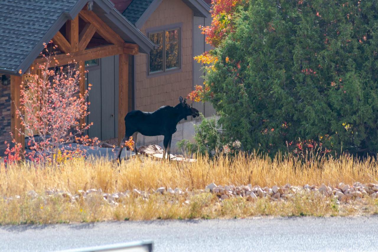 Bear Country Cabin #2 Saint Charles Exterior foto